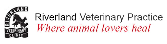 Point Mcleay SA VETS Brisbane