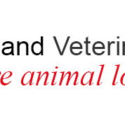 Riverland Veterinary Practice - VETS Brisbane