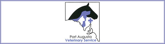Commissariat Point SA VETS Brisbane