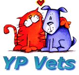 YP Vets - VETS Brisbane