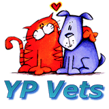 YP Vets - VETS Brisbane 0