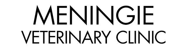 Meningie Veterinary Clinic - VETS Brisbane