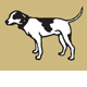 Motter Catherine - VETS Brisbane 0