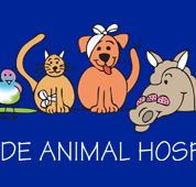 Adelaide Animal Hospital - VETS Brisbane