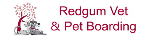 Redgum Vet & Pet Boarding - VETS Brisbane 0
