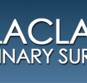 Balaclava Veterinary Surgery - VETS Brisbane