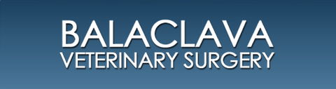 Balaclava Veterinary Surgery - VETS Brisbane 0