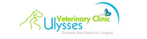 Ulysses Veterinary Clinic - VETS Brisbane 0