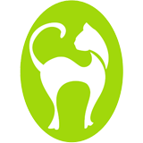 Tropical Queensland cat clinic - VETS Brisbane
