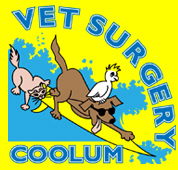 Coolum Veterinary Surgery - VETS Brisbane