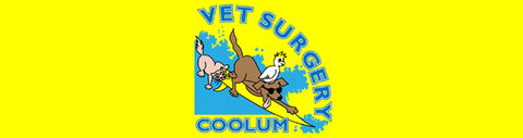 Coolum Veterinary Surgery - VETS Brisbane 0