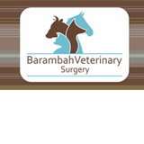 Ellesmere QLD VETS Brisbane