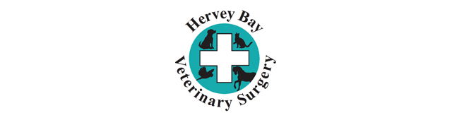 Pialba QLD VETS Brisbane