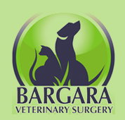 Bargara Veterinary Surgery - VETS Brisbane