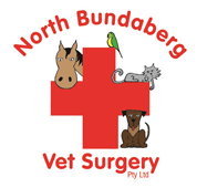North Bundaberg Vet Surgery Pty Ltd - VETS Brisbane
