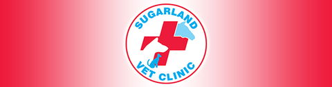 Sugarland Animal Hospital - VETS Brisbane 0