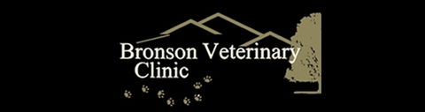 Bronson Veterinary Clinic - VETS Brisbane 0