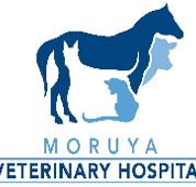 Moruya Veterinary Hospital - VETS Brisbane