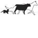 Bomaderry Veterinary Hospital - VETS Brisbane