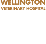 Wellington Veterinary Hospital - VETS Brisbane