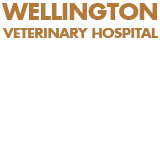 Wellington Veterinary Hospital - VETS Brisbane 0