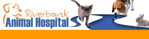 Riverbank Animal Hospital - VETS Brisbane 0