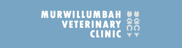 Chowan Creek NSW VETS Brisbane