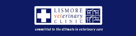 Lismore Veterinary Clinic - VETS Brisbane 0