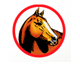 Equine Veterinary And Dental Services - thumb 0