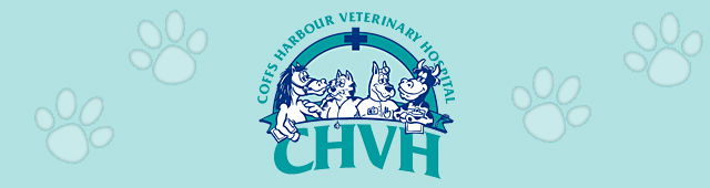 Coffs Harbour NSW VETS Brisbane