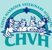 Coffs Harbour Vet Hospital - VETS Brisbane