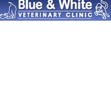 Blue  White Veterinary Clinic - VETS Brisbane