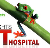 Erina Heights Veterinary Hospital - VETS Brisbane