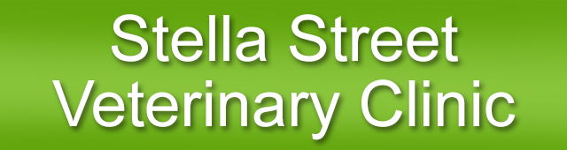 Bay Village NSW VETS Brisbane