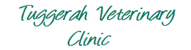 Tuggerah NSW VETS Brisbane