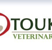 Toukley Veterinary Clinic - VETS Brisbane