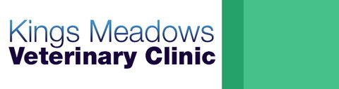 Kings Meadows Veterinary Clinic - VETS Brisbane 0