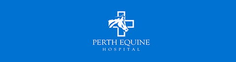 Perth Equine Hospital - VETS Brisbane 0