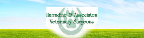 Harradine & Associates - VETS Brisbane 0