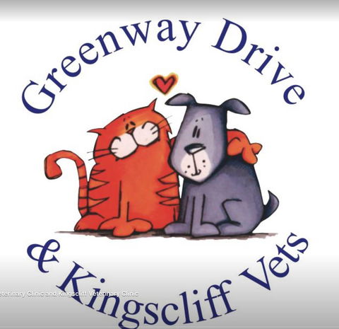 Kingscliff Veterinary Hospital - VETS Brisbane 3