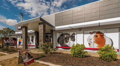 Bundaberg South Vet Clinic - VETS Brisbane 18