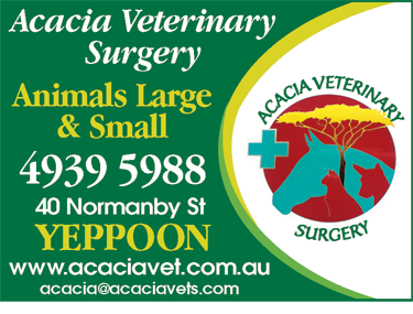 Acacia Veterinary Surgery - VETS Brisbane 1