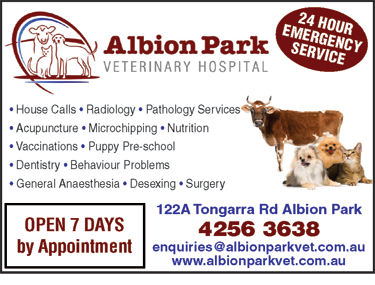 Albion Park Veterinary Hospital - VETS Brisbane 6