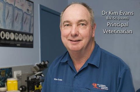 All Animal Veterinary Services Pty Ltd - VETS Brisbane 2