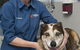 All Animal Veterinary Services Pty Ltd - thumb 3