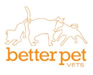 Andergrove Better Pet Vets - VETS Brisbane 0