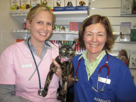 Andergrove Veterinary Clinic - VETS Brisbane 1