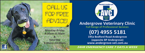 Andergrove Veterinary Clinic - VETS Brisbane 3