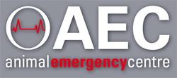 Animal Emergency Centre Gold Coast - VETS Brisbane 0