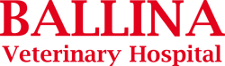 Ballina Veterinary Hospital - VETS Brisbane 0